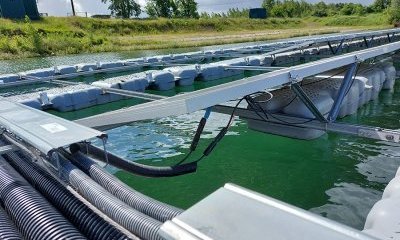 Le photovoltaïque flottant : de quoi s'agit-il ?