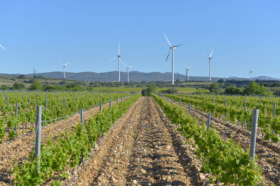 Le Parc éolien Catalan