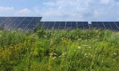 Un parc solaire en autoconsommation collective