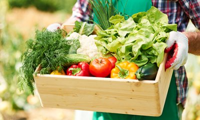 Gestion des eaux pluviales pour limiter le ruissellement et conserver la fraîcheur en ville