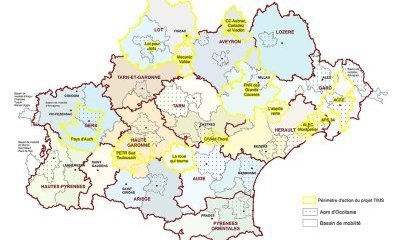 illustration Le Programme TIMS en Occitanie : fiche d'identité des projets lauréats