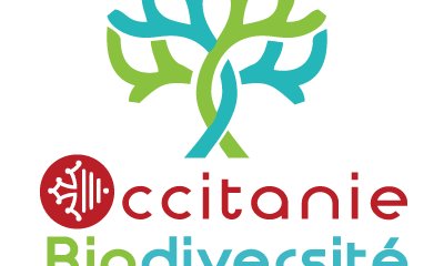 Lundi 10 février 2025 : webinaire de l'ARB Occitanie "Biodiversité et pollution lumineuse : on agit en Occitanie !"