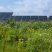 Un parc solaire en autoconsommation collective