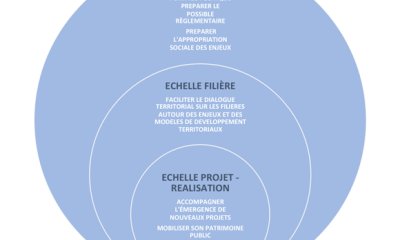 EnR : quels leviers et quelles actions ?