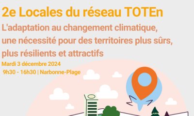 3 décembre 2024 : 2e Locales du réseau TOTEn "l'adaptation au changement climatique, une nécessité pour des territoires plus sûrs, plus résilients et attractifs"