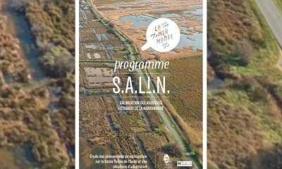 illustration Programme S.A.LI.N : étude et adaptation face à la salinisation des sols et des nappes