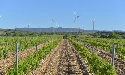 illustration Un ensemble éolien dans les Pyrénées Orientales 