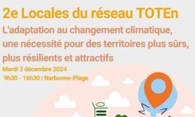 3 décembre 2024 : 2e Locales du réseau TOTEn "l'adaptation au changement climatique, une nécessité pour des territoires plus sûrs, plus résilients et attractifs"