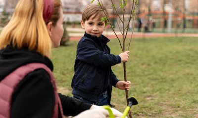 illustration Développement d'îlots de fraîcheur dans les groupes scolaires