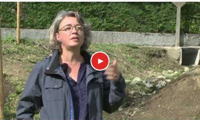 Gestion alternative des eaux pluviales