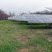 Le parc photovoltaïque au sol de Rouzas dans le Gers